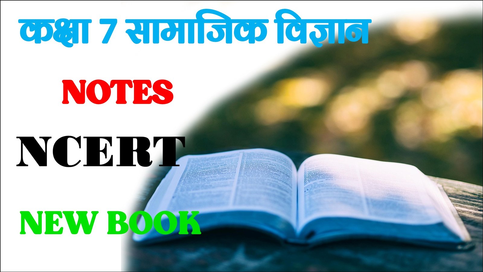 Class 7 Social Science Objective