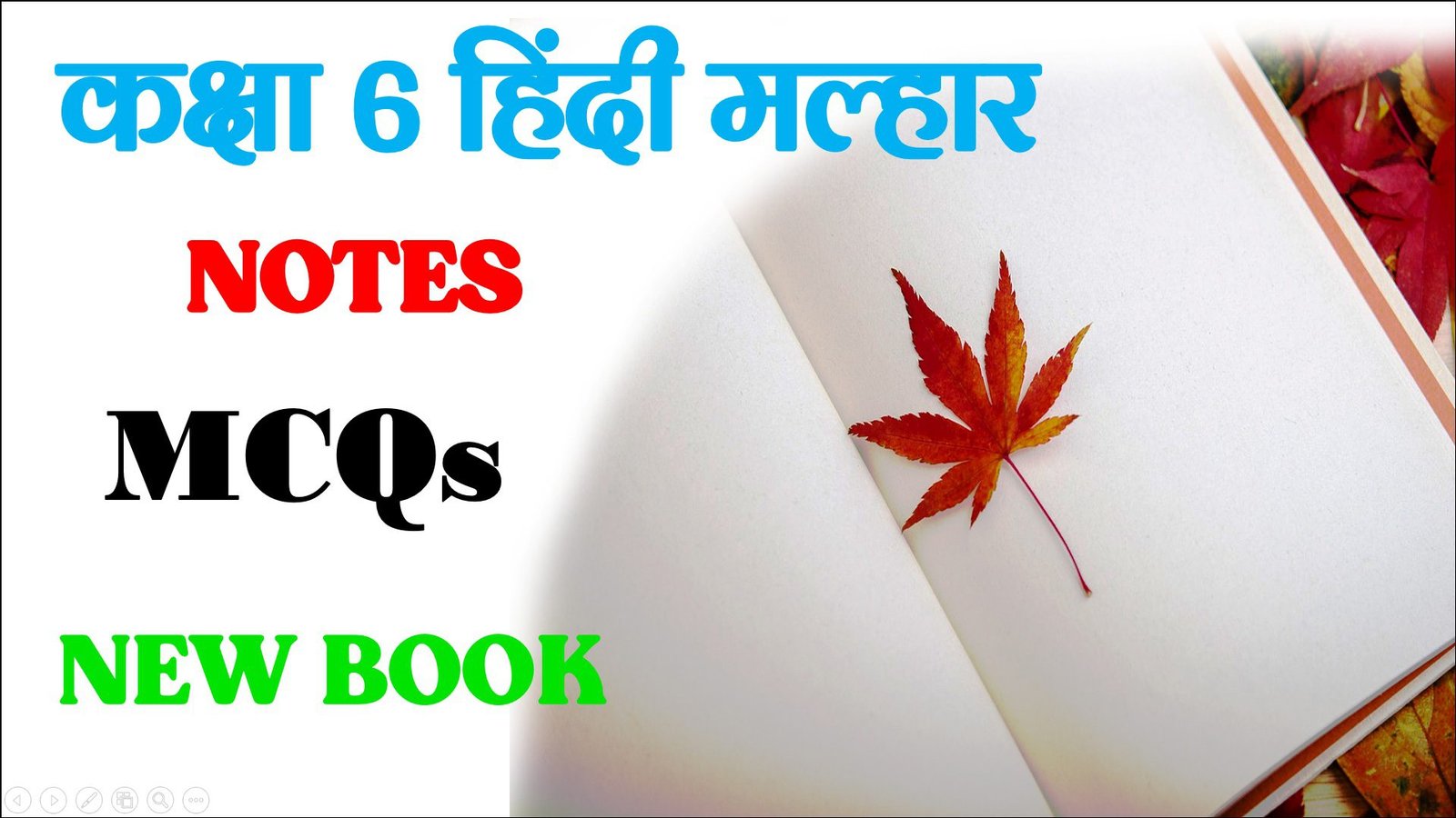 Class 6 Hindi Malhar Objective